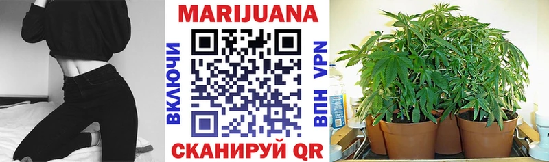 магазин продажи наркотиков  ОМГ ОМГ зеркало  Шишки марихуана THC 21%  Нязепетровск 